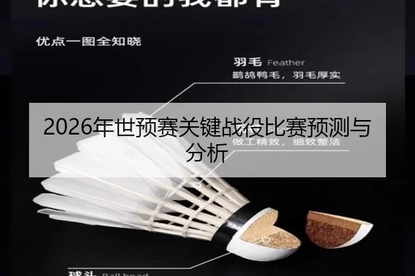 2026年世预赛关键战役比赛预测与分析