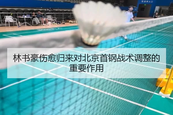 林书豪伤愈归来对北京首钢战术调整的重要作用