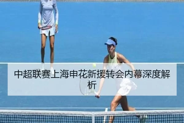 中超联赛上海申花新援转会内幕深度解析